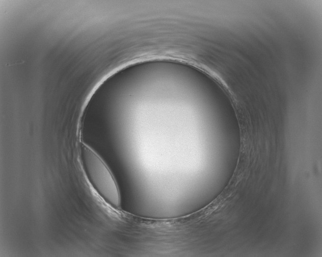 X0000058811524200509300927