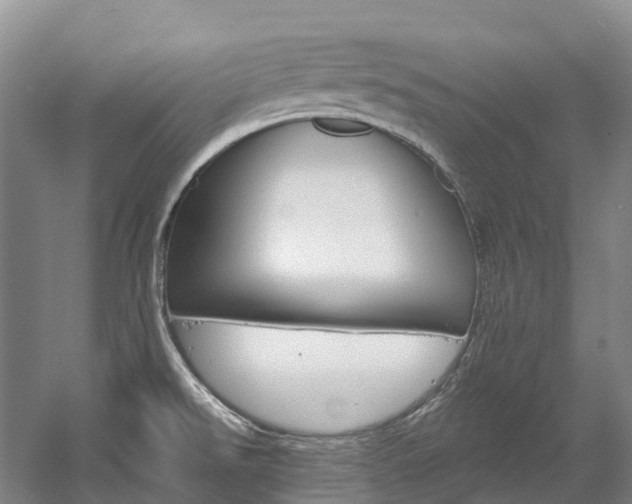 X0000058811526200509300927