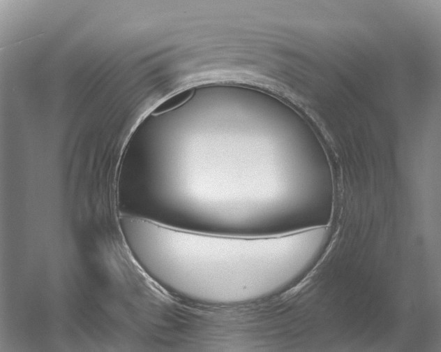 X0000058811529200509300927