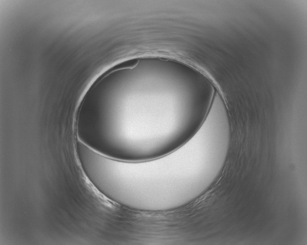 X0000058811532200509300927