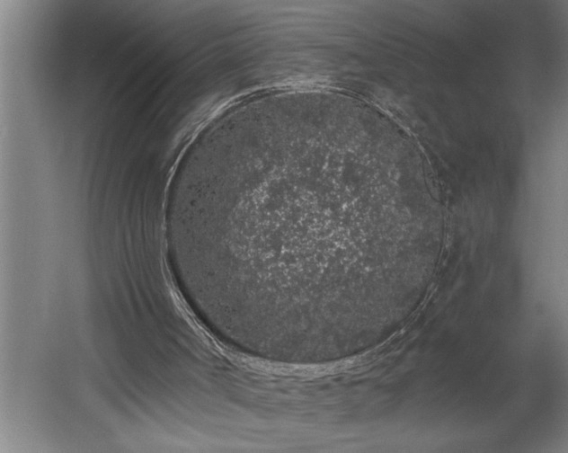 X0000058810002200509301245