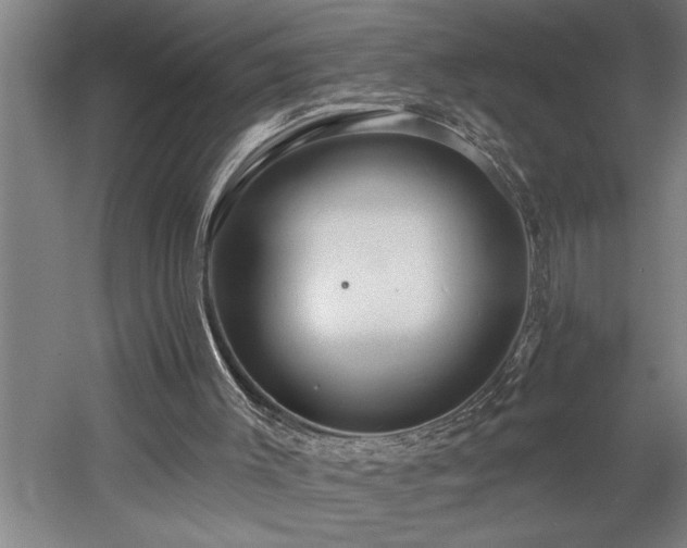 X0000058810003200509301245