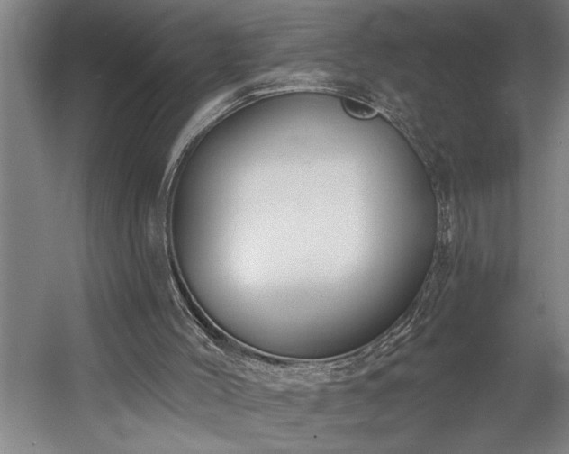 X0000058810004200509301245