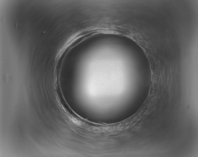 X0000058810005200509301245