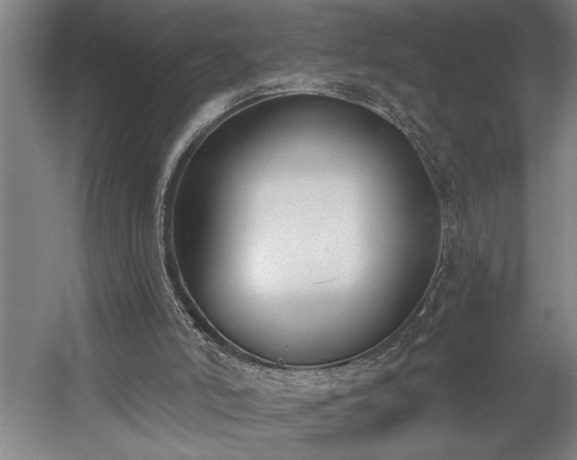 X0000058810006200509301245