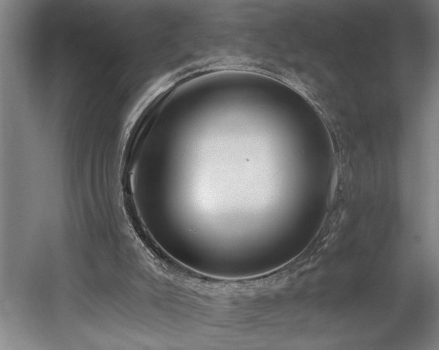 X0000058810007200509301245