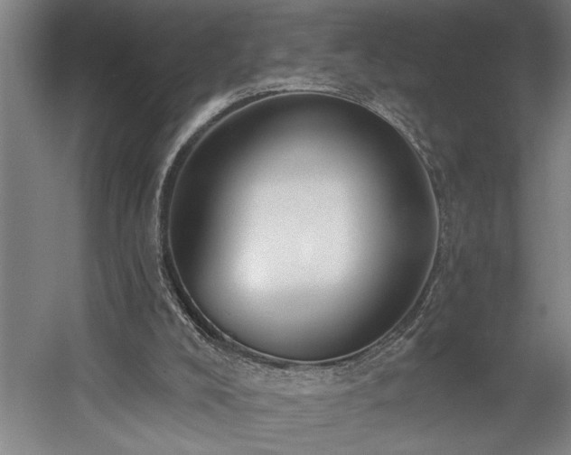 X0000058810008200509301245