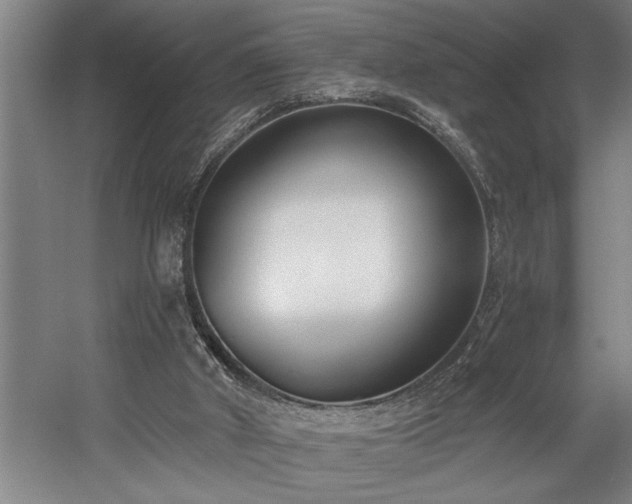 X0000058810010200509301245