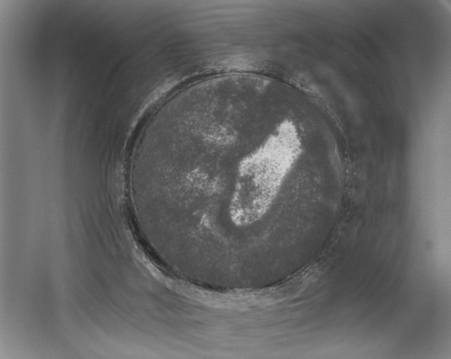 X0000058810012200509301245