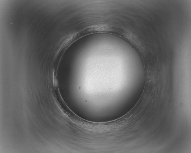 X0000058810014200509301245