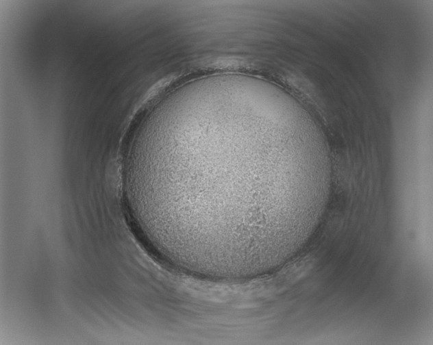 X0000058810016200509301245