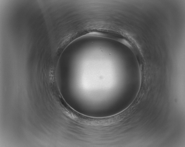 X0000058810017200509301245