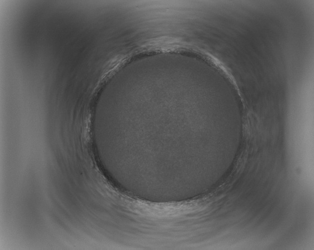 X0000058810018200509301245