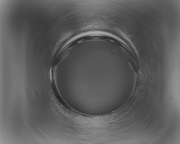 X0000058810019200509301245