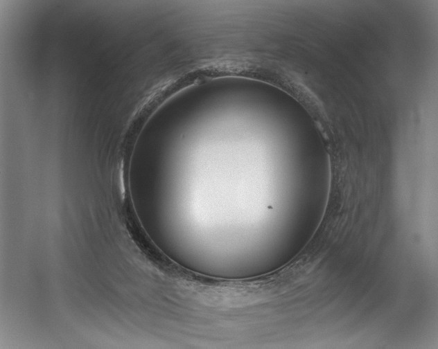 X0000058810020200509301245