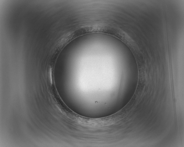 X0000058810022200509301245