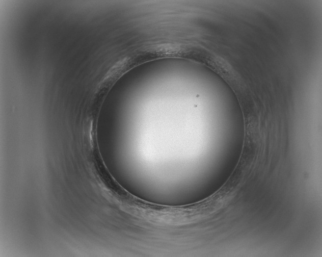 X0000058810024200509301245