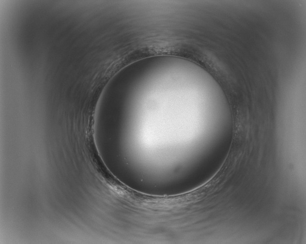 X0000058810025200509301245