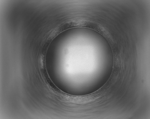 X0000058810026200509301245