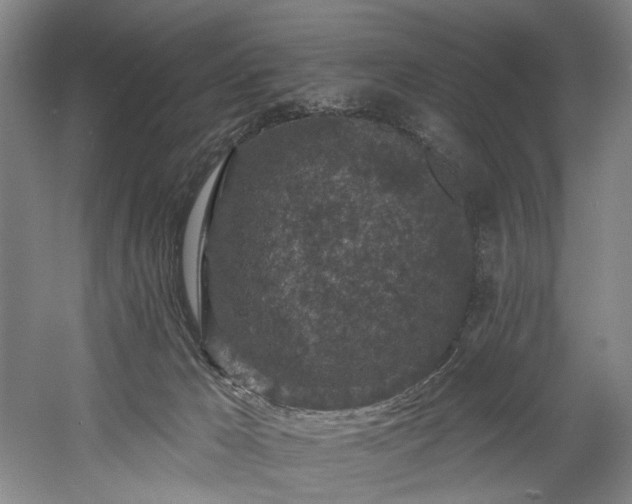 X0000058810029200509301245