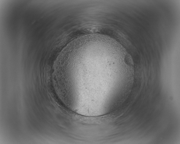 X0000058810030200509301245