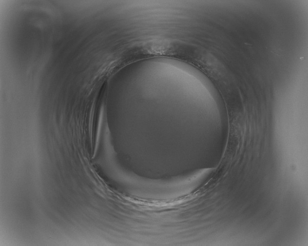 X0000058810031200509301245