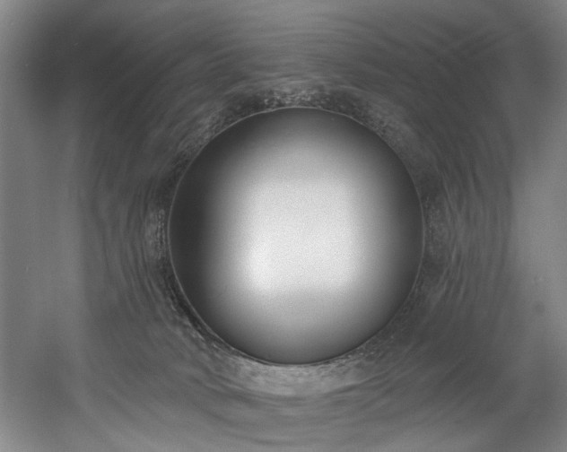 X0000058810034200509301245