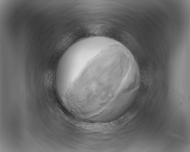 X0000058810036200509301245