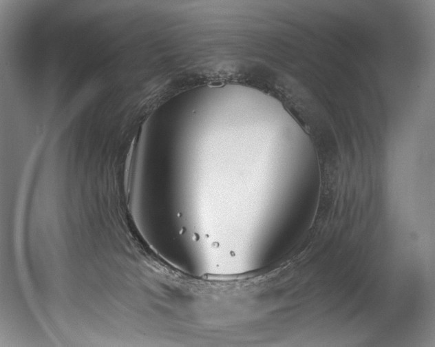 X0000058810037200509301245