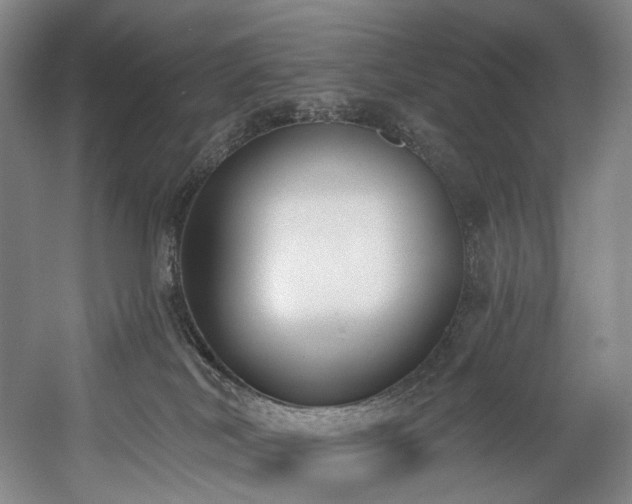 X0000058810038200509301245