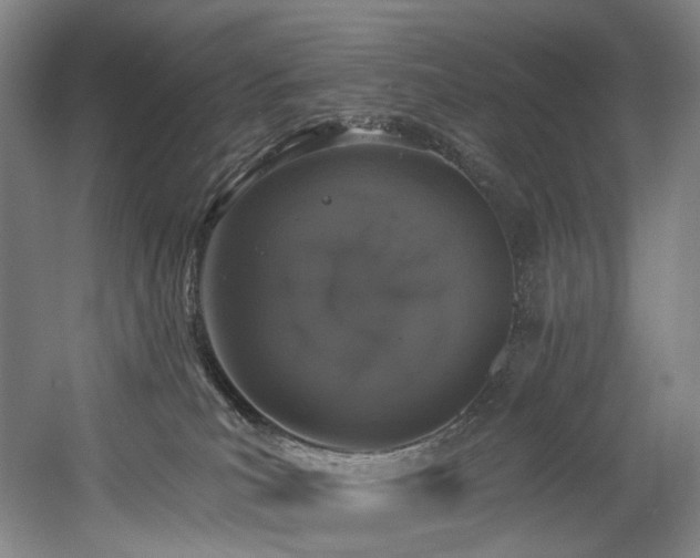 X0000058810039200509301245