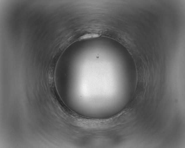 X0000058810040200509301245