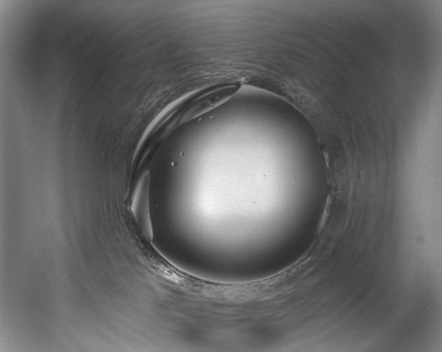 X0000058810041200509301245