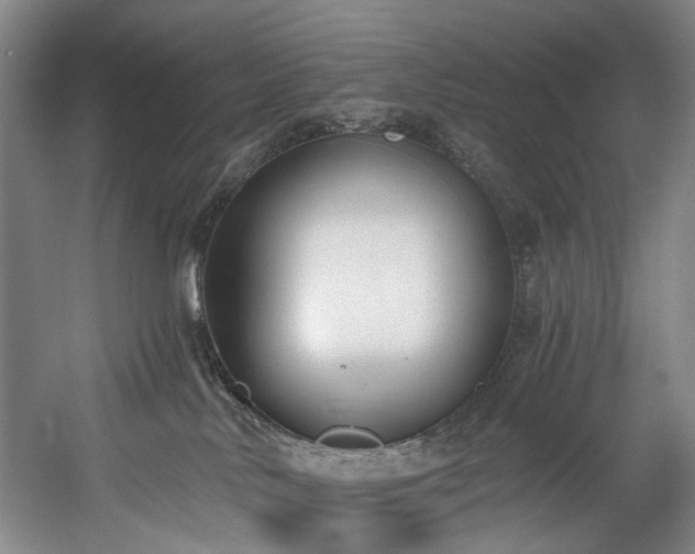 X0000058810042200509301245