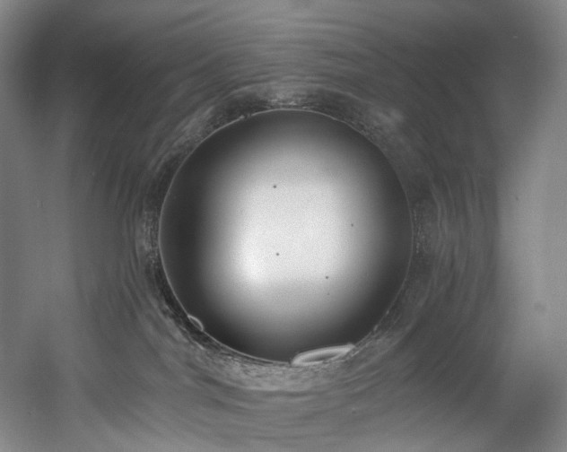 X0000058810044200509301245