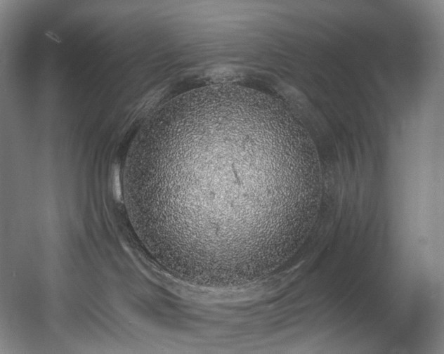 X0000058810046200509301245