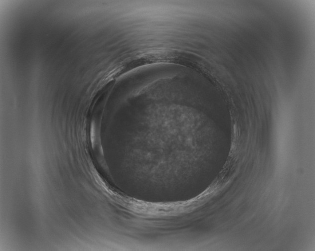 X0000058810048200509301245