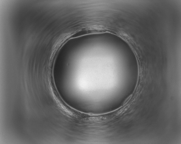 X0000058810049200509301244