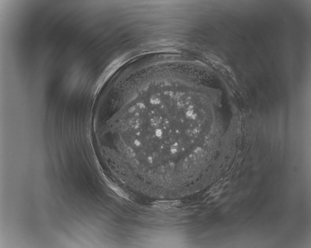 X0000058810051200509301244