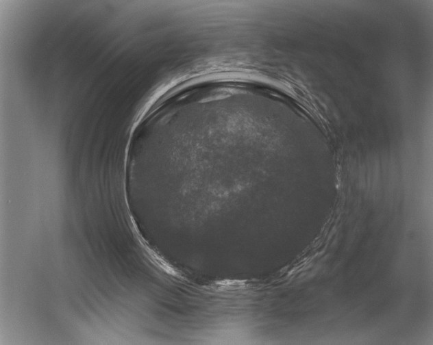 X0000058810052200509301244