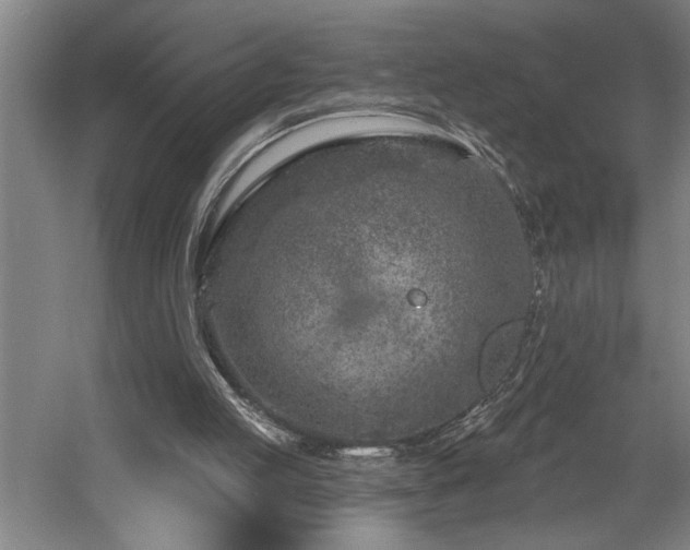 X0000058810053200509301244