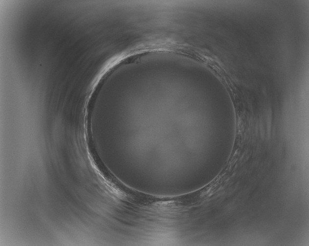 X0000058810054200509301244