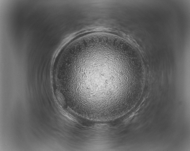 X0000058810055200509301244