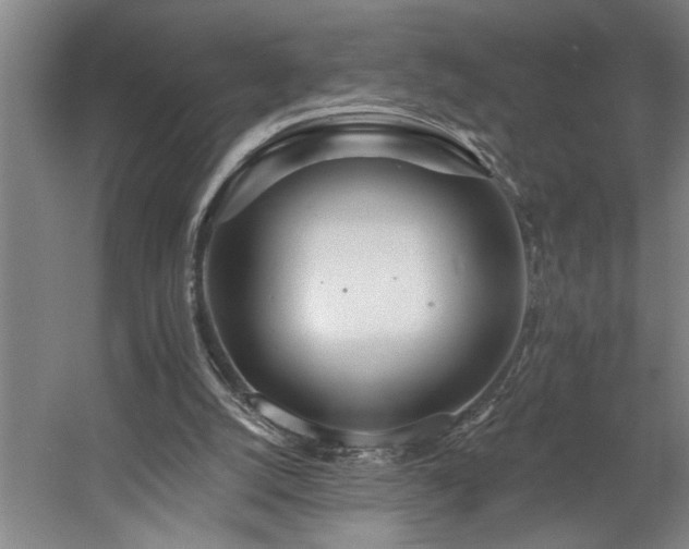 X0000058810056200509301244