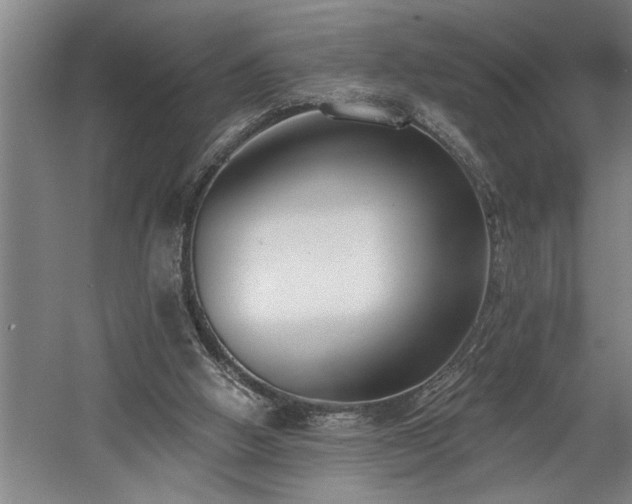 X0000058810058200509301244