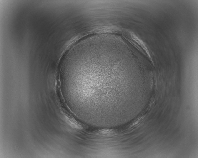 X0000058810059200509301244