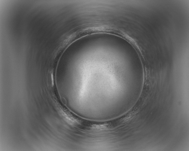 X0000058810061200509301244