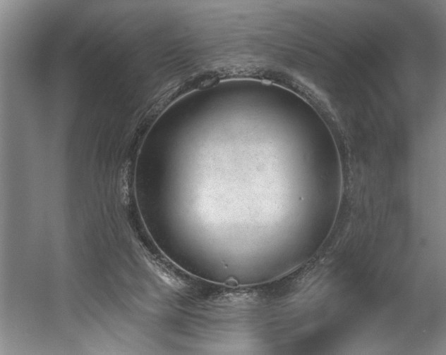 X0000058810065200509301244