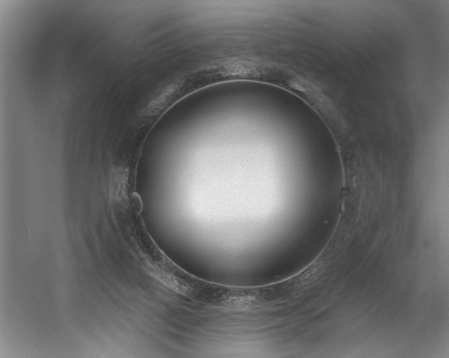 X0000058810066200509301244