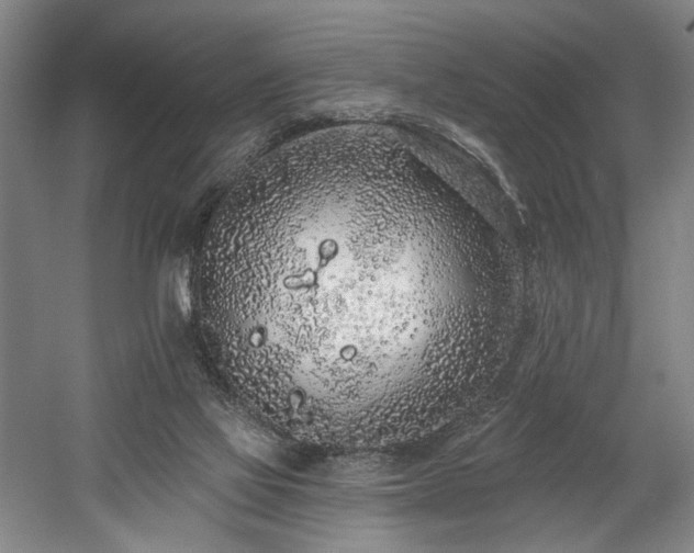 X0000058810069200509301244